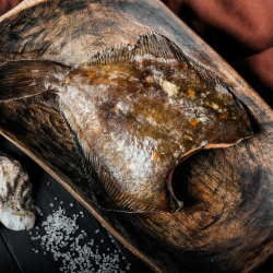 Камабала в Казани