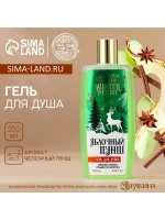 Гель для душа, 250 мл, аромат яблочный пунш, URAL LAB
