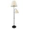 Торшер Arte Lamp Alea A5068PN-2BK