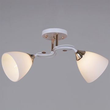 06104-0.3-02 WH+FG светильник потолочный