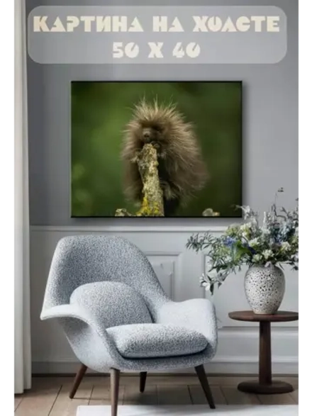 Картина на стену 40 X 50 Дикобраз