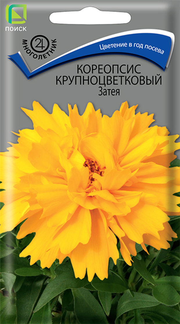 Кореопсис крупноцветковый Затея