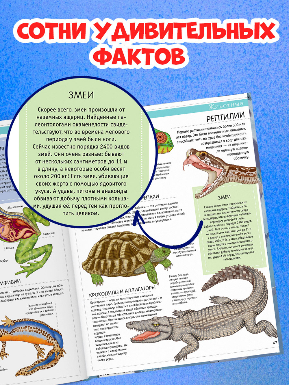 Удивительные энциклопедии. Большая детская энциклопедия