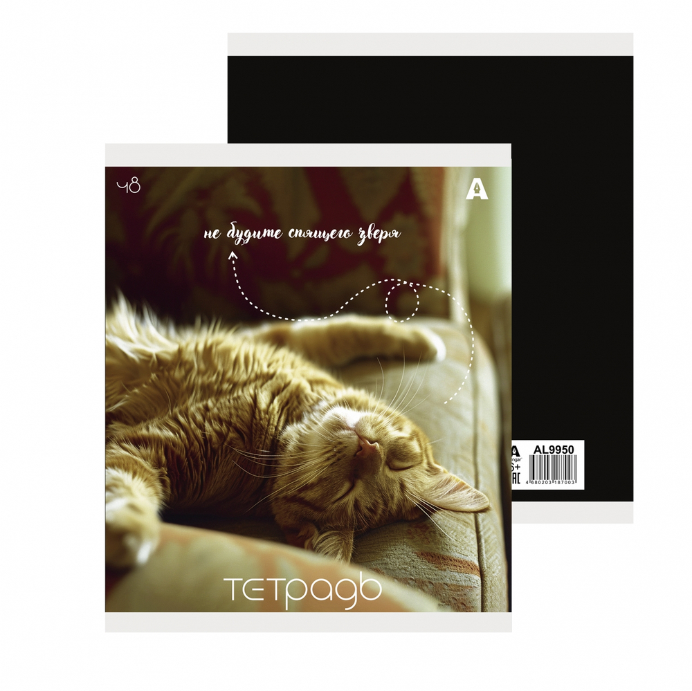 Тетрадь 48л., А5, клетка, Alingar "Кошки", скрепка, мелованый картон ( стандарт), блок офсет, 5 дизайнов в пленке т/у
