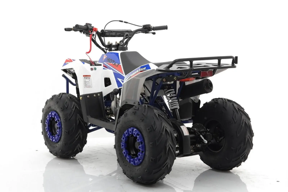 Квадроцикл MOTAX Grizlik A110