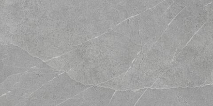 Pamesa Pietra Di Lavagna Argento 60x120