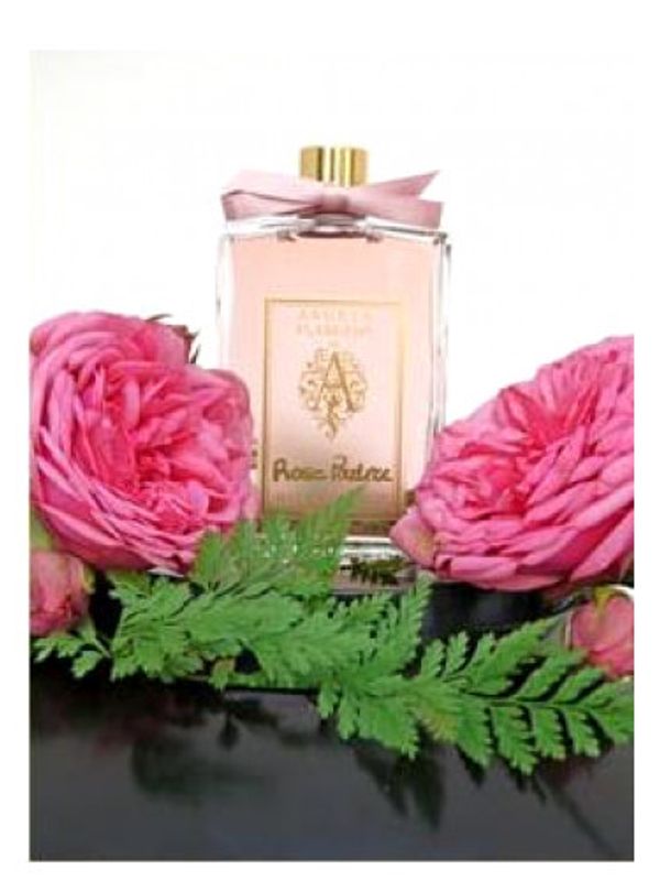 Angela Flanders Rose Poudree