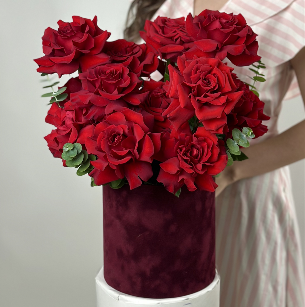 Bouquet of 25 red French Bordeaux roses in a box
