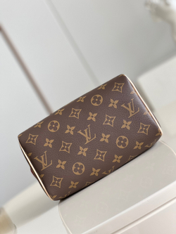 Louis Vuitton Speedy 20