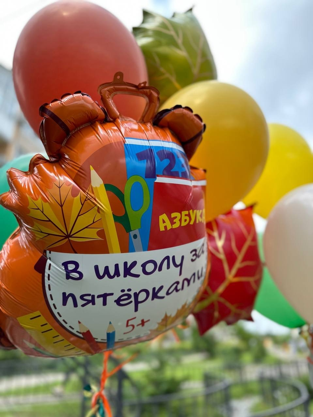 Воздушные шары на 1 сентября №1082