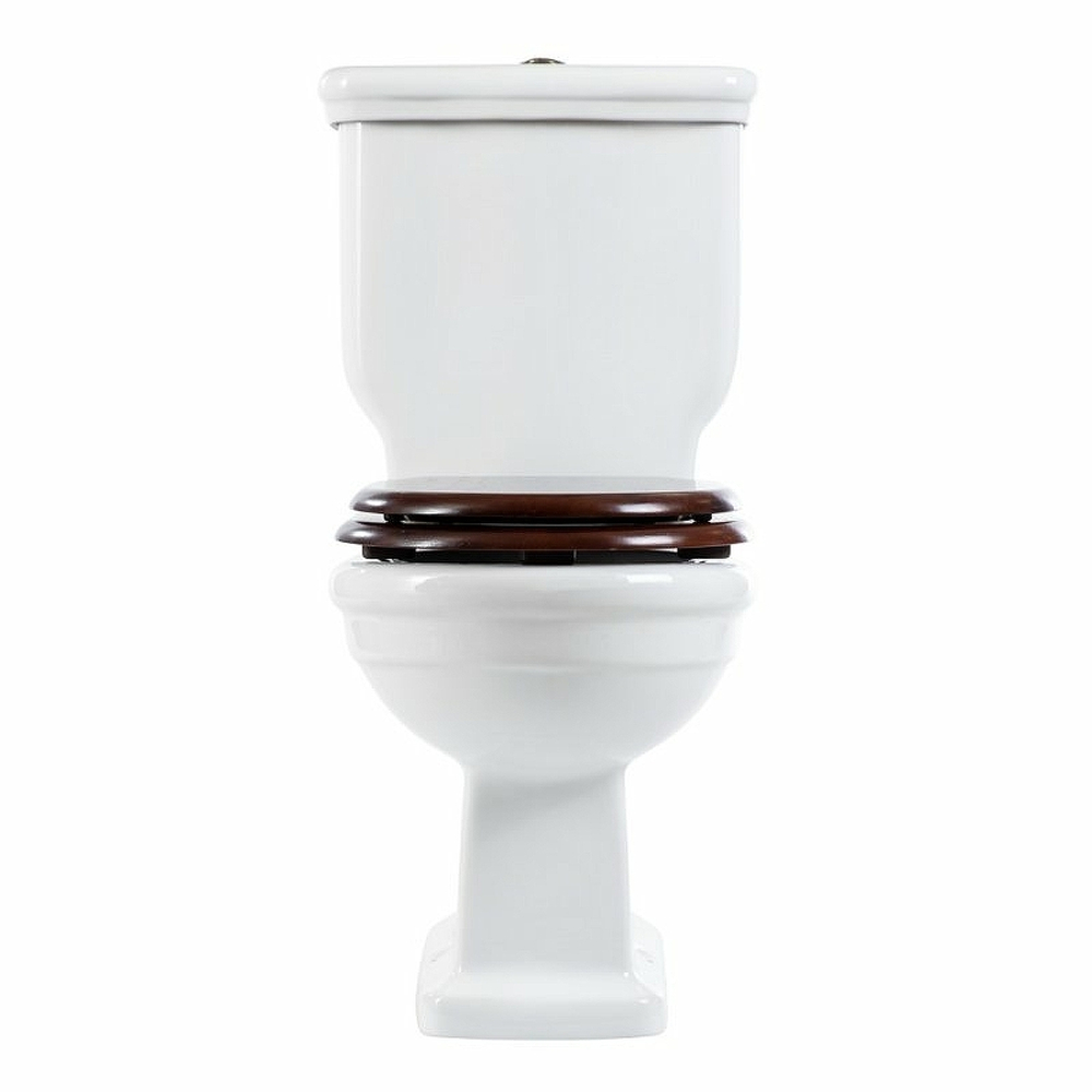 Унитаз компакт BelBagno Boheme BB115CPR без бачка и сиденья