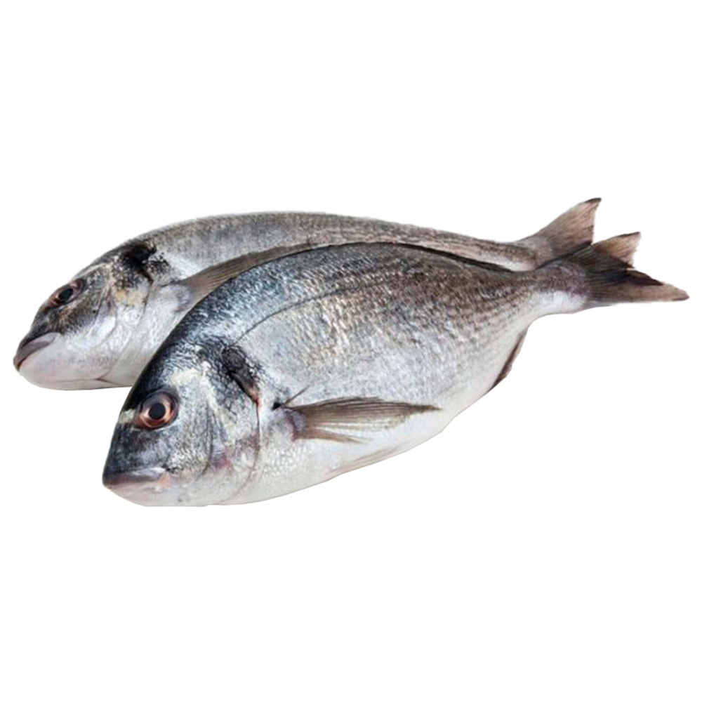 Дорадо н/р 400-600 IQF 1/5