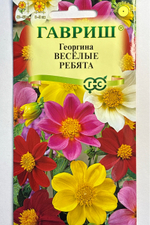 Георгина Веселые ребята, смесь 0,3 г СМЦ-264
