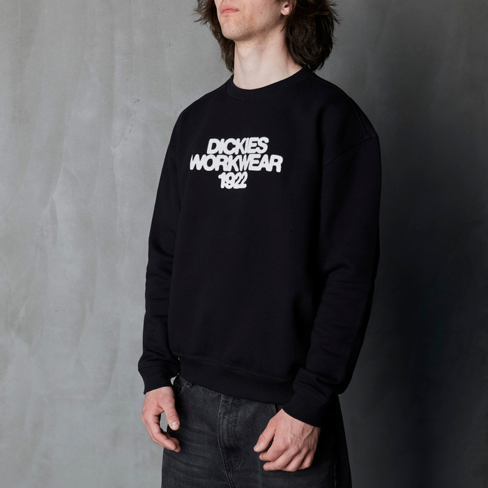 Толстовка Dickies Torrey Sweatshirt артикул:DK0A88BSBLK1 - купить в магазине Дайс