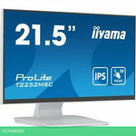 Монитор Iiyama ProLite T2252MSC-W2