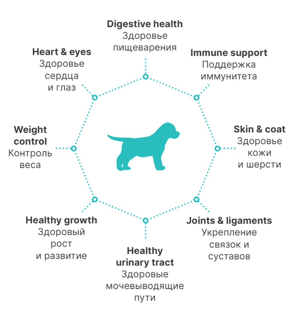 PREMIER Свежее мясо индейки для щенков