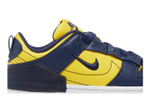 Кроссовки Nike Dunk Disrupt 2 (Женская размерная сетка)