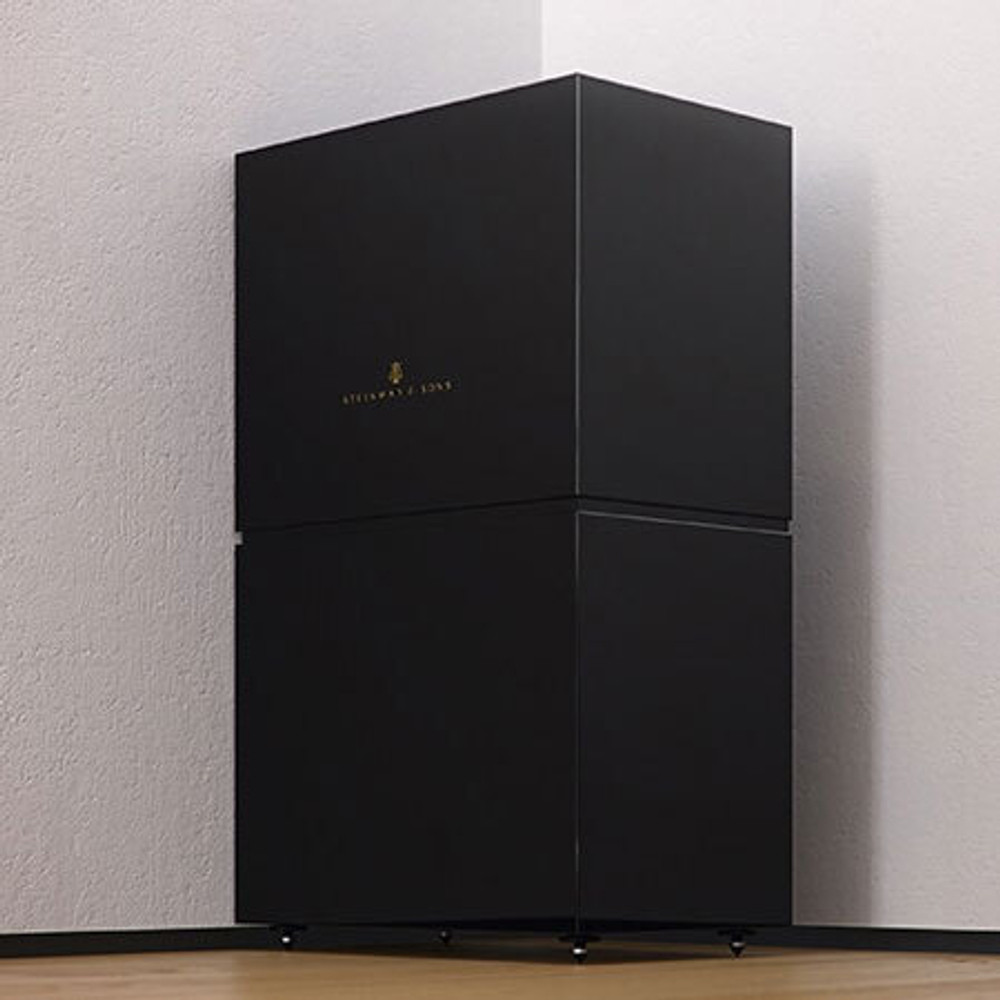 Сабвуфер Steinway Lyngdorf LSR-210