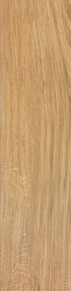 Atlas Concorde Etic Rovere 22.5x90