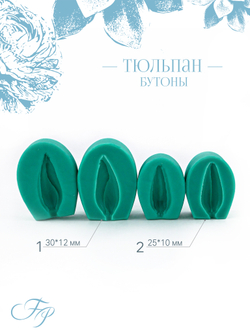 Тюльпан бутоны