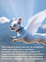 Гроб для собаки