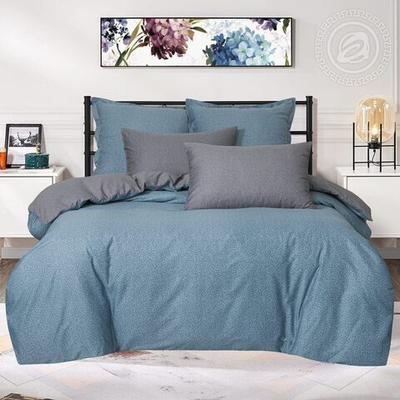 Постельное белье сатин 2,0 спальное с евро Самуэль 716 АРТПОСТЕЛЬ