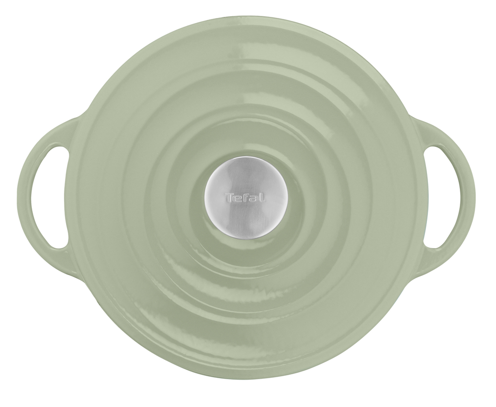 Кастрюля с крышкой Tefal LOV 25 см E2580404