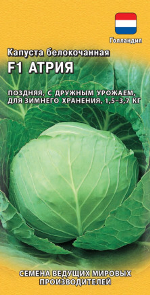 Капуста б/к Атрия F1 10шт для квашения Голландия