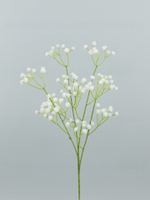 Ветка гипсофилы