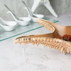 Блюдо для подачи 28*28 см h6 см 100 мл Звезда Pearl Starfish Frutti di Mare P.L. [1]