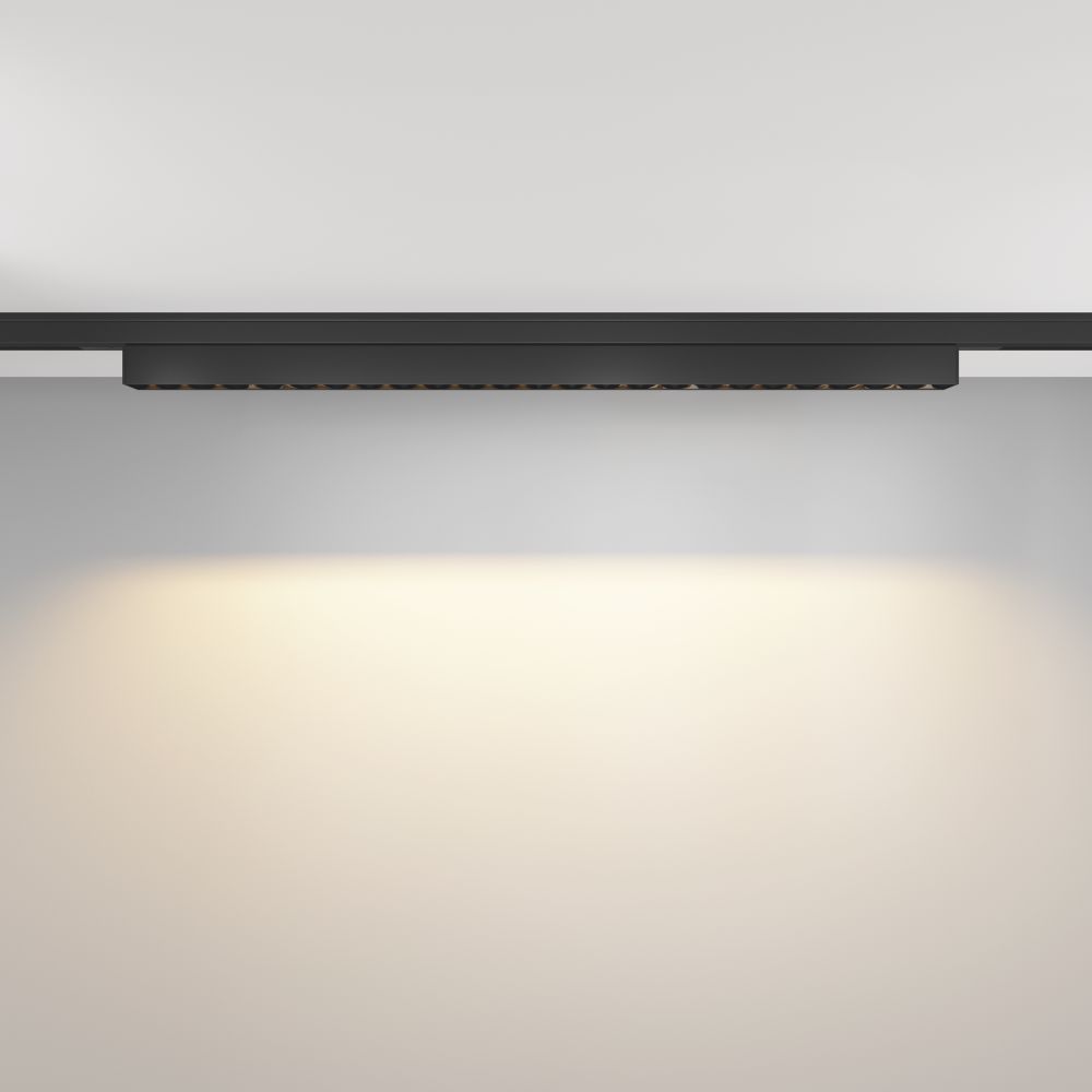 Трековый магнитный светодиодный светильник Maytoni Levity Points TR193-1-20W2.7K-M-B