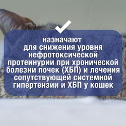 Суспензия для лечения хронической болезни почек у кошек АВЗ Нефроспас 50мл, Телмисартан
