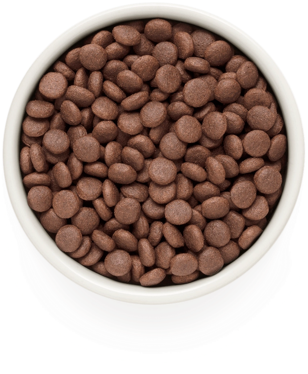 GRANDORF Ягнёнок с индейкой Для средних и крупных пород