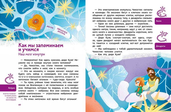 Как устроен мозг. Чевостик (мягкая обложка)