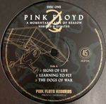 Pink Floyd / A Momentary Lapse Of Reason (Remixed & Updated)(2LP)