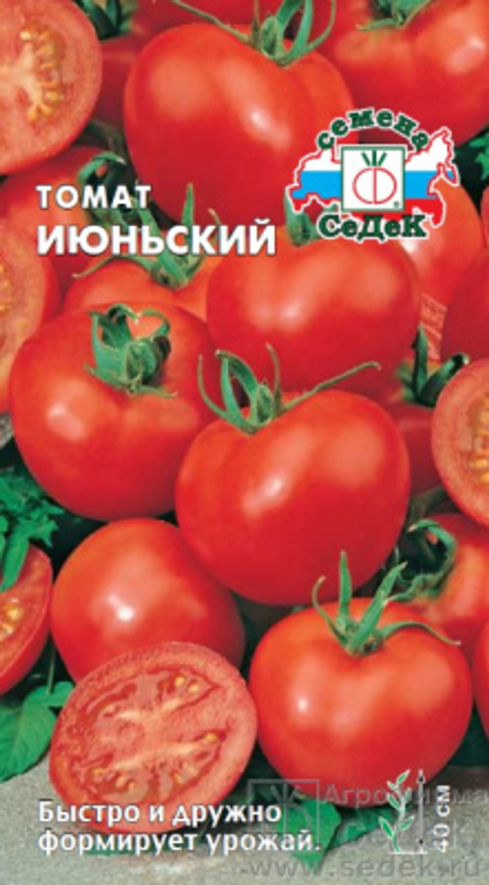 Томат Июньский 0,2г Ц СеДеК