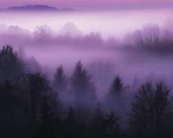 Босиком за ветром. Книга с открыткой