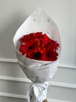 Кулек из гербер в красном оттенке 7 шт