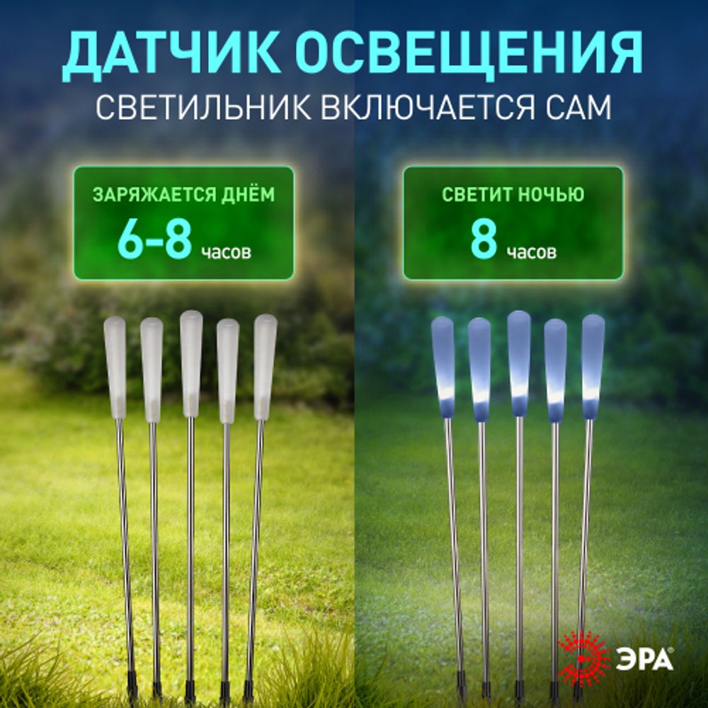Светильник уличный ЭРА ERASF23-13 Камыши на солнечной батарее садовый высота 60 см 5 шт. 5 LED