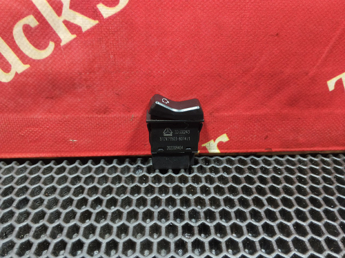 Кнопка переключения диагностики двигателя