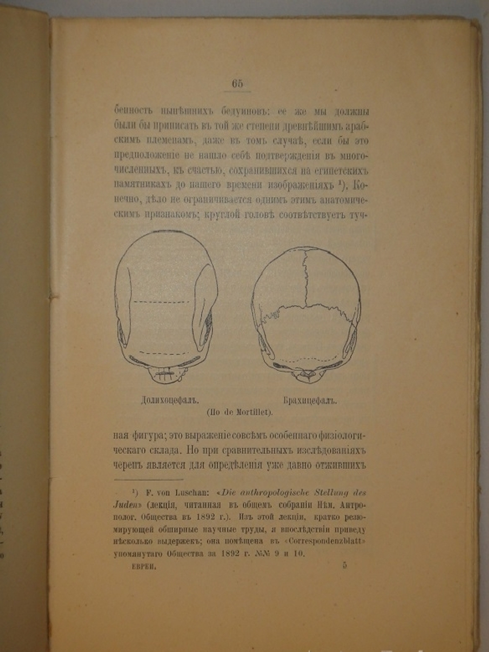 "Евреи, их происхождение и причины их влияния в Европе". 1910г.