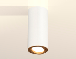 Накладной поворотный светильник Ambrella Light Techno XS7442004 (C7442, N7004)