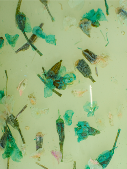 NR BASE Камуфлирующая SAKURA №204, 5гр