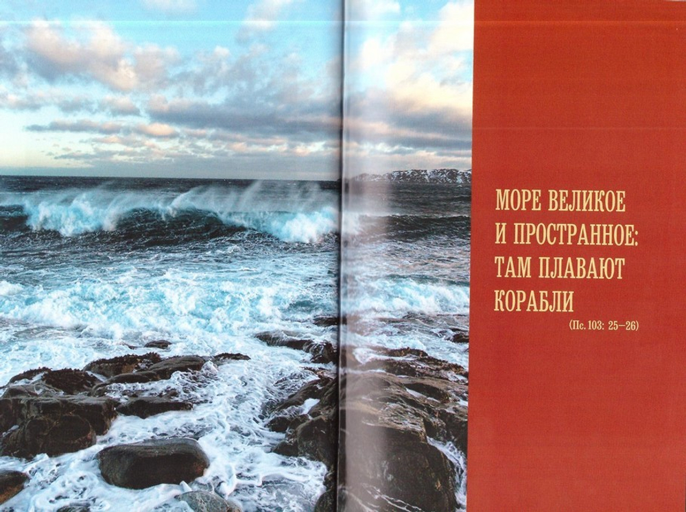 Сыновья одной матери. Николай (Погребняк)