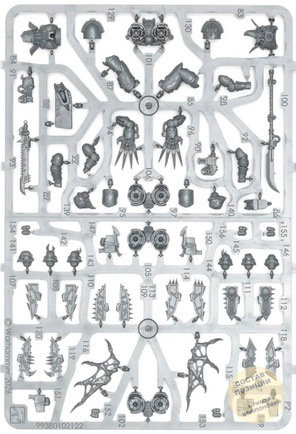 (2 in 1) Raptors / Warp Talons 2025