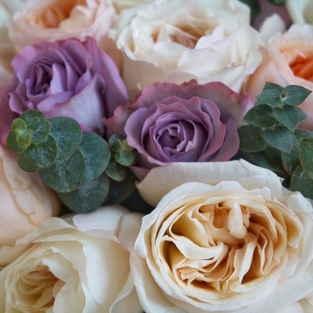 75. Микс из 29 роз в пастельной гамме