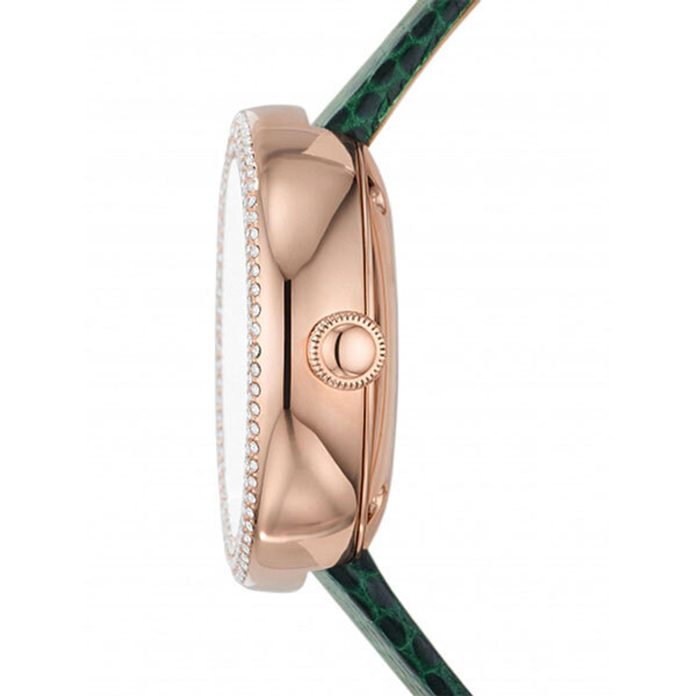 Женские наручные часы Emporio Armani AR60069