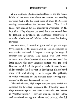 Sugar beet seed. History and development | Truman G. Palmer