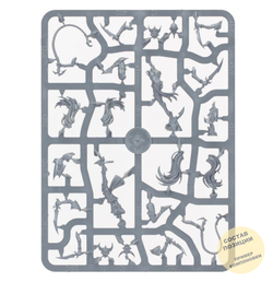 (Предзаказ) Sisters of Slaughter/Witch Aelves (5)