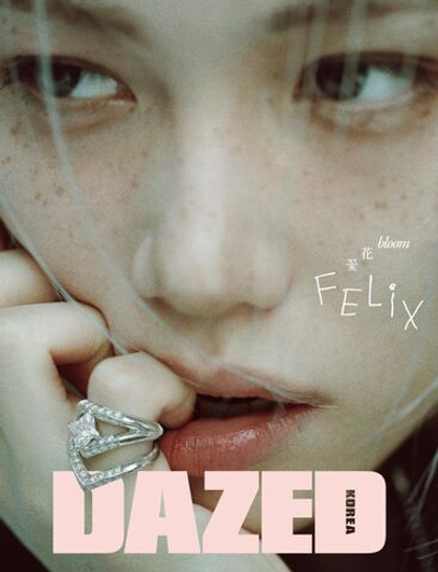 публикация DAZED - 2026.04 FELIX B Type